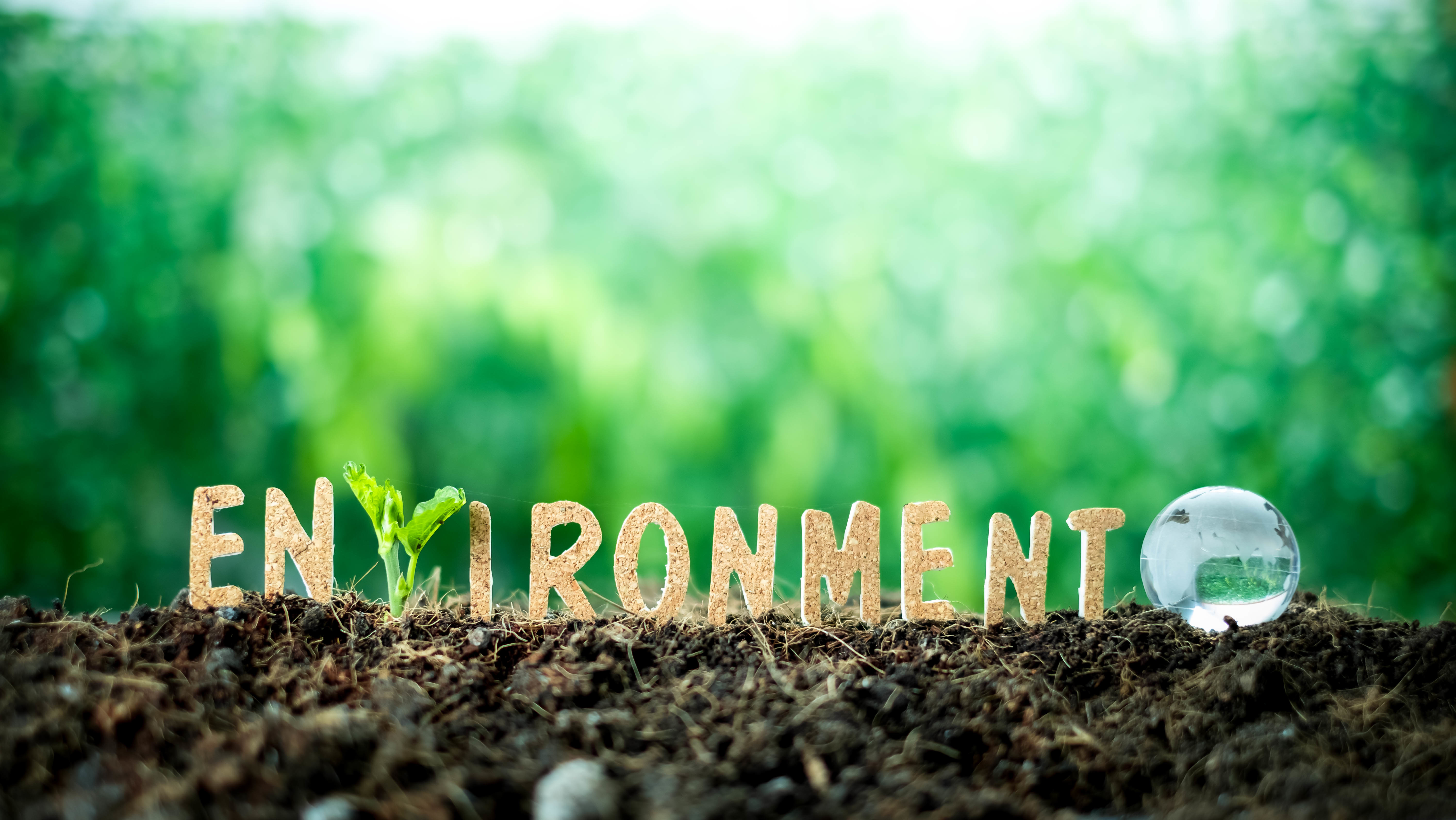 des goodies écologiques pour l’environnement